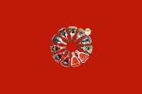 宁海回收红酒